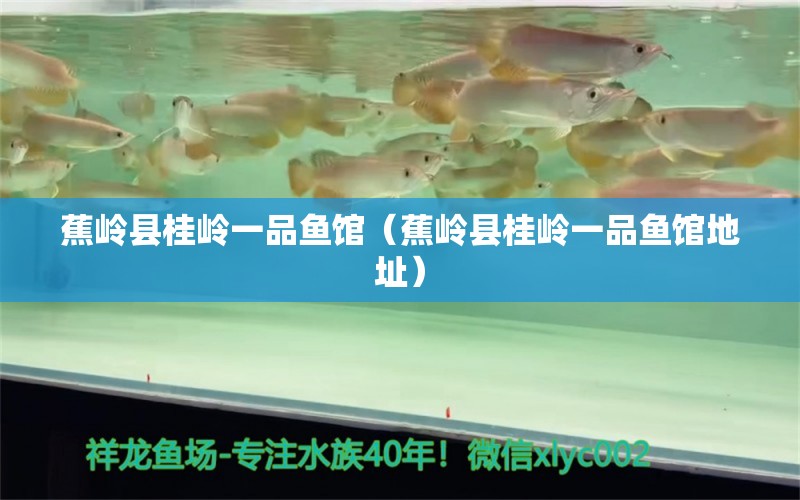 蕉嶺縣桂嶺一品魚館（蕉嶺縣桂嶺一品魚館地址）