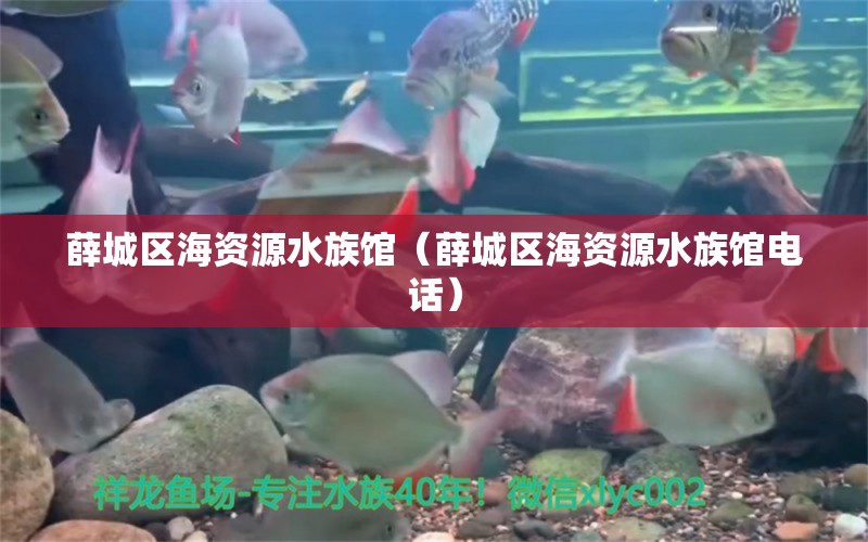 薛城區(qū)海資源水族館（薛城區(qū)海資源水族館電話）