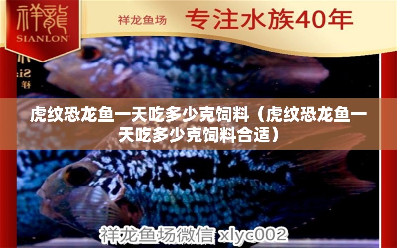 虎紋恐龍魚(yú)一天吃多少克飼料（虎紋恐龍魚(yú)一天吃多少克飼料合適）