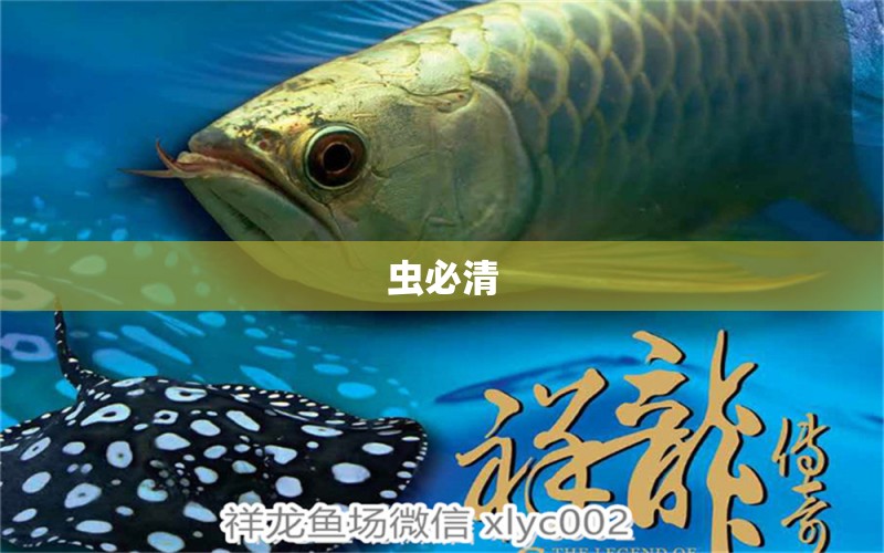 蟲必清 廣州水族器材濾材批發(fā)市場