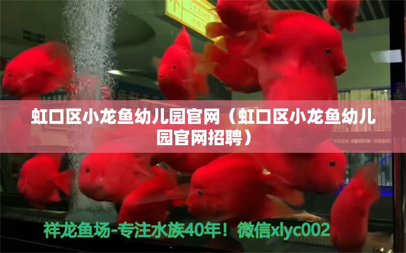 虹口區(qū)小龍魚幼兒園官網(wǎng)（虹口區(qū)小龍魚幼兒園官網(wǎng)招聘）