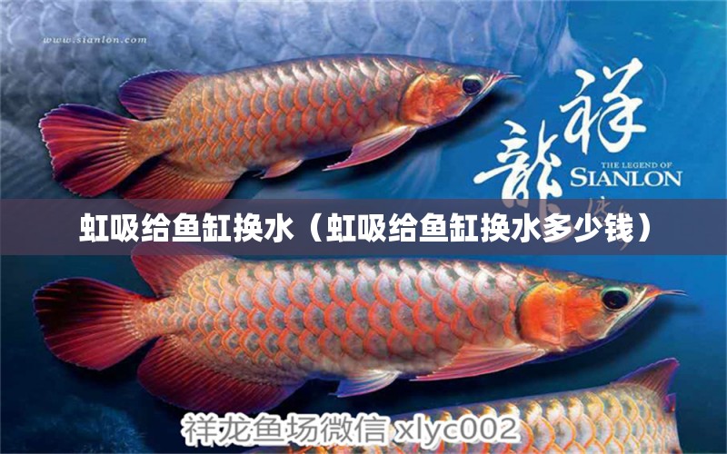 虹吸給魚缸換水（虹吸給魚缸換水多少錢）