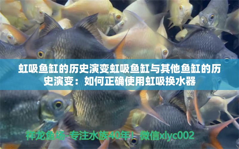 虹吸魚缸的歷史演變虹吸魚缸與其他魚缸的歷史演變：如何正確使用虹吸換水器 魚缸百科 第2張