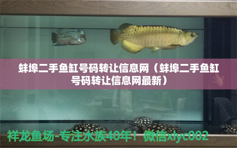 蚌埠二手魚(yú)缸號(hào)碼轉(zhuǎn)讓信息網(wǎng)（蚌埠二手魚(yú)缸號(hào)碼轉(zhuǎn)讓信息網(wǎng)最新） 祥龍水族醫(yī)院