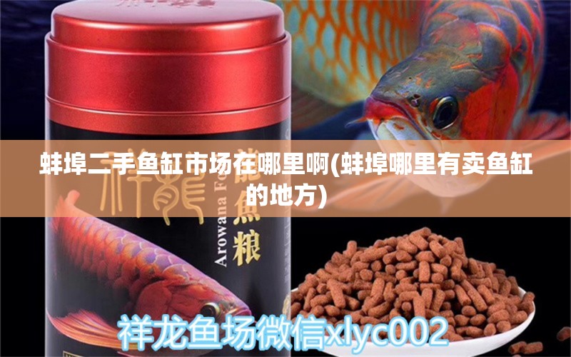 蚌埠二手魚缸市場在哪里啊(蚌埠哪里有賣魚缸的地方) 月光鴨嘴魚