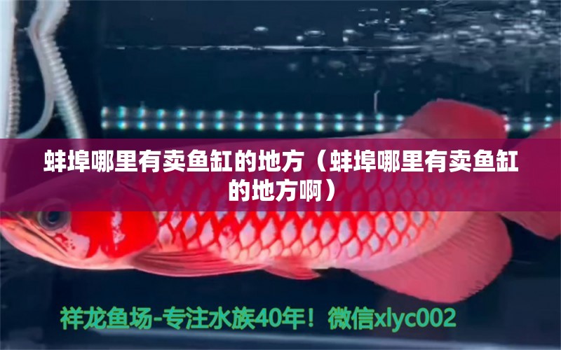 蚌埠哪里有賣魚缸的地方（蚌埠哪里有賣魚缸的地方?。? title=