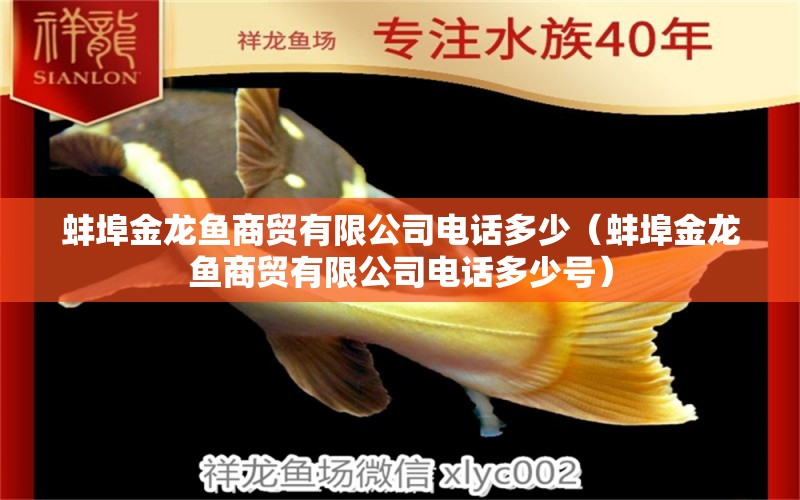 蚌埠金龍魚商貿(mào)有限公司電話多少（蚌埠金龍魚商貿(mào)有限公司電話多少號）