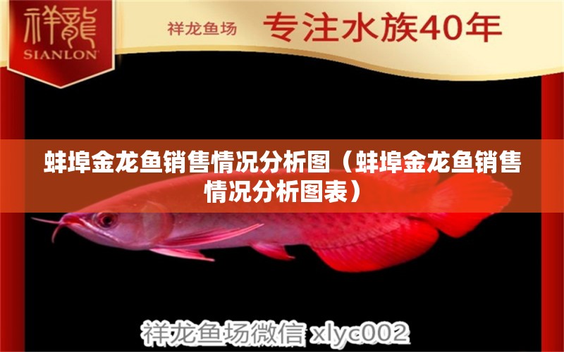 蚌埠金龍魚銷售情況分析圖（蚌埠金龍魚銷售情況分析圖表） 蘇虎