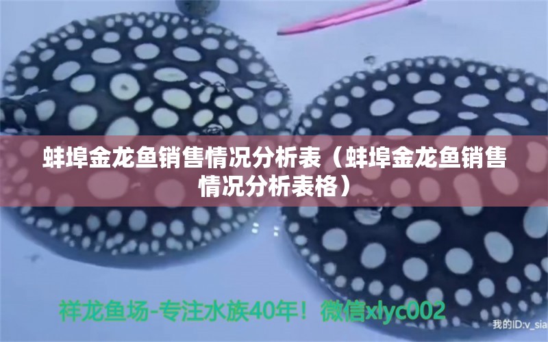 蚌埠金龍魚銷售情況分析表（蚌埠金龍魚銷售情況分析表格）