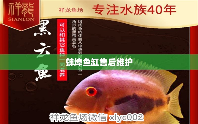 蚌埠魚缸售后維護 彩鰈魚缸（彩蝶魚缸）