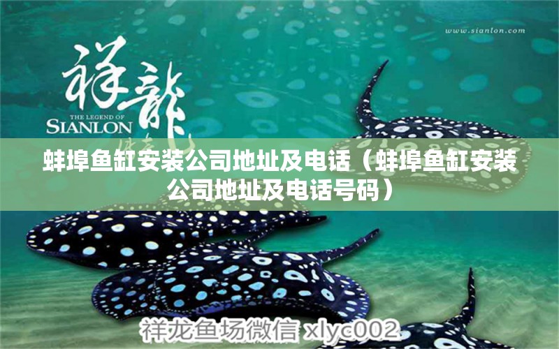 蚌埠魚(yú)缸安裝公司地址及電話(huà)（蚌埠魚(yú)缸安裝公司地址及電話(huà)號(hào)碼） 祥龍水族醫(yī)院