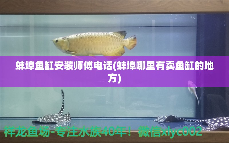 蚌埠魚缸安裝師傅電話(蚌埠哪里有賣魚缸的地方)