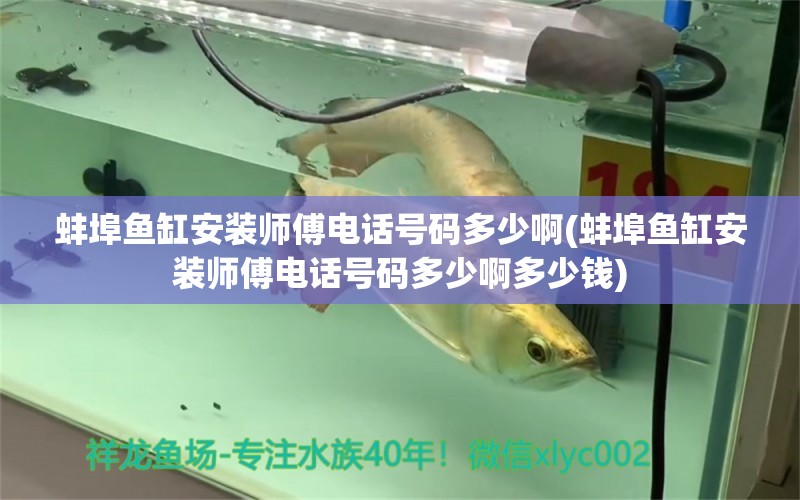 蚌埠魚缸安裝師傅電話號碼多少啊(蚌埠魚缸安裝師傅電話號碼多少啊多少錢) 觀賞魚魚苗