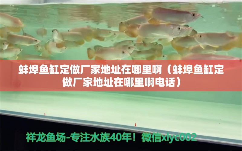 蚌埠魚缸定做廠家地址在哪里啊（蚌埠魚缸定做廠家地址在哪里啊電話）