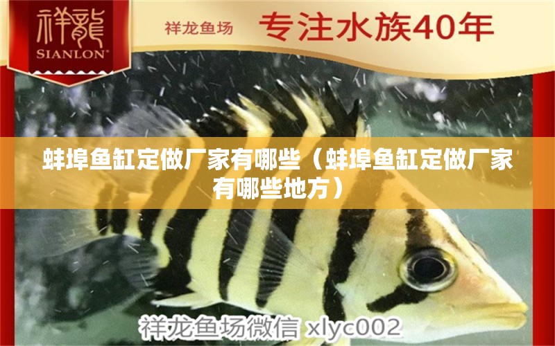 蚌埠魚缸定做廠家有哪些（蚌埠魚缸定做廠家有哪些地方） 其他品牌魚缸