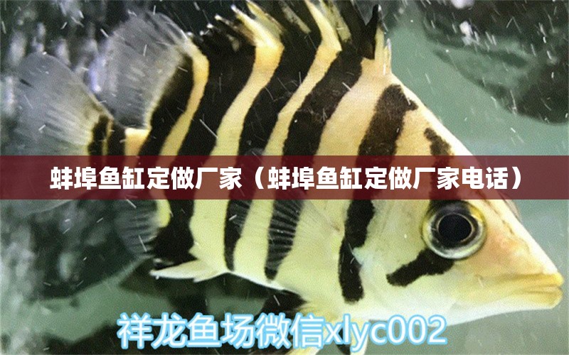 蚌埠魚缸定做廠家（蚌埠魚缸定做廠家電話） 其他品牌魚缸