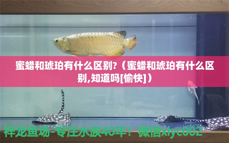 蜜蠟和琥珀有什么區(qū)別?（蜜蠟和琥珀有什么區(qū)別,知道嗎[愉快]）