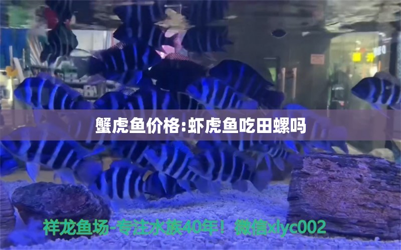 蟹虎魚價格:蝦虎魚吃田螺嗎