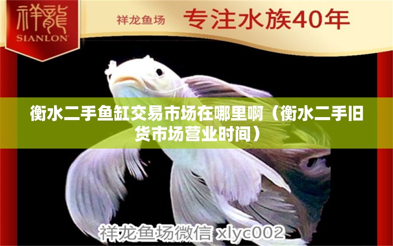 衡水二手魚缸交易市場在哪里?。ê馑峙f貨市場營業(yè)時間）