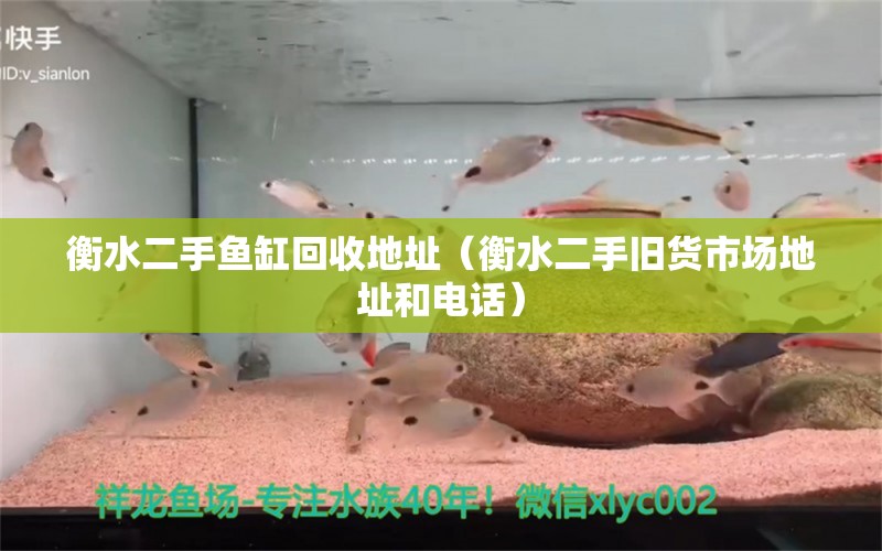 衡水二手魚缸回收地址（衡水二手舊貨市場地址和電話）