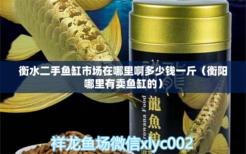 衡水二手魚缸市場在哪里啊多少錢一斤（衡陽哪里有賣魚缸的） 黃金河虎魚