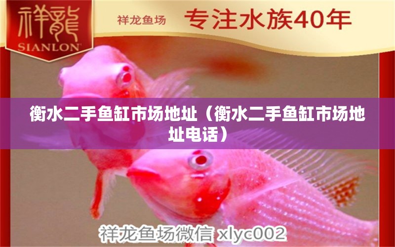 衡水二手魚(yú)缸市場(chǎng)地址（衡水二手魚(yú)缸市場(chǎng)地址電話） 其他品牌魚(yú)缸