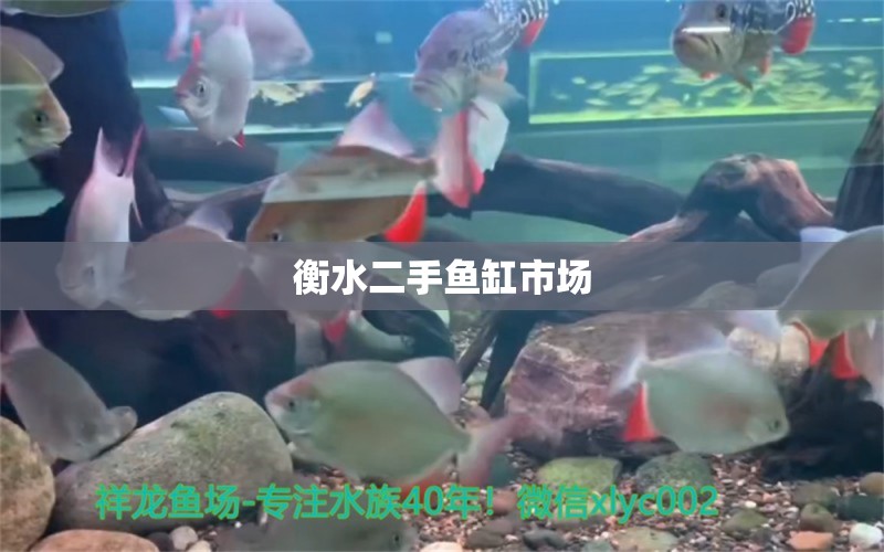 衡水二手魚缸市場(chǎng)