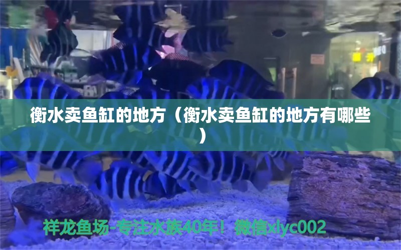 衡水賣(mài)魚(yú)缸的地方（衡水賣(mài)魚(yú)缸的地方有哪些）