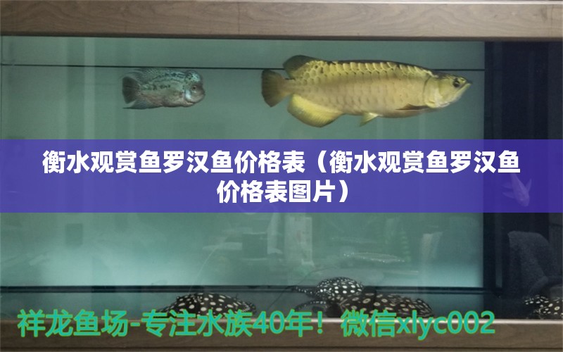 衡水觀賞魚羅漢魚價(jià)格表（衡水觀賞魚羅漢魚價(jià)格表圖片）