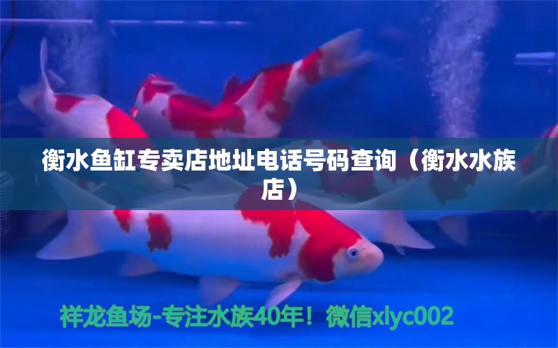 衡水魚缸專賣店地址電話號碼查詢（衡水水族店）