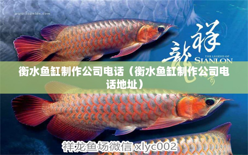 衡水魚缸制作公司電話（衡水魚缸制作公司電話地址）