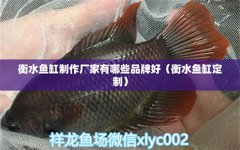 衡水魚缸制作廠家有哪些品牌好（衡水魚缸定制）