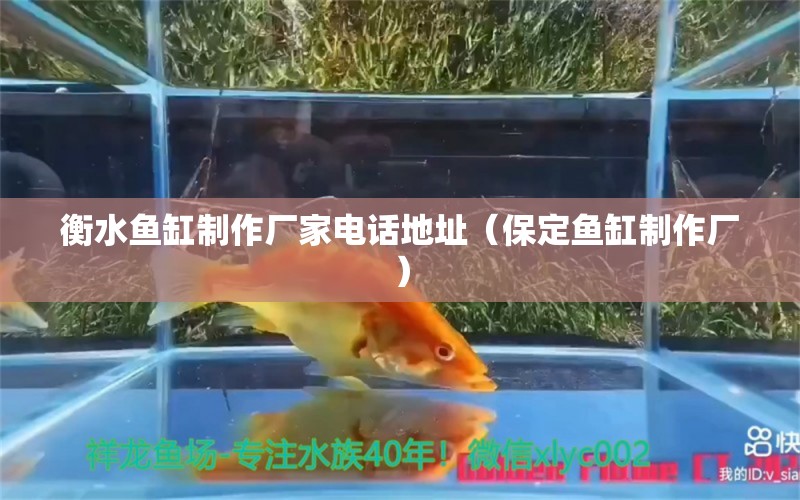 衡水魚缸制作廠家電話地址（保定魚缸制作廠） 觀賞魚飼料 第1張