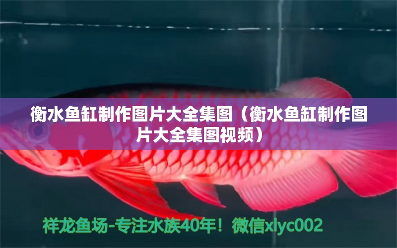 衡水魚缸制作圖片大全集圖（衡水魚缸制作圖片大全集圖視頻）