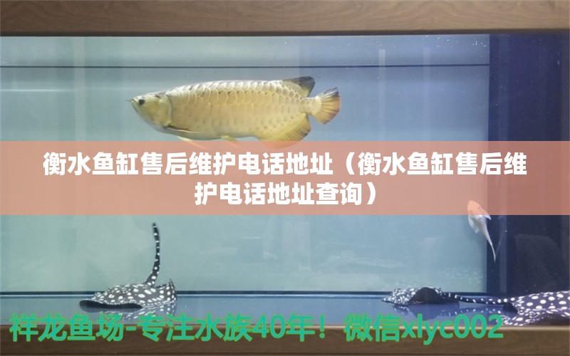 衡水魚缸售后維護(hù)電話地址（衡水魚缸售后維護(hù)電話地址查詢）