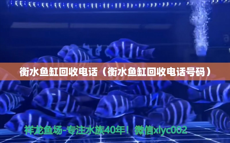 衡水魚缸回收電話（衡水魚缸回收電話號碼）