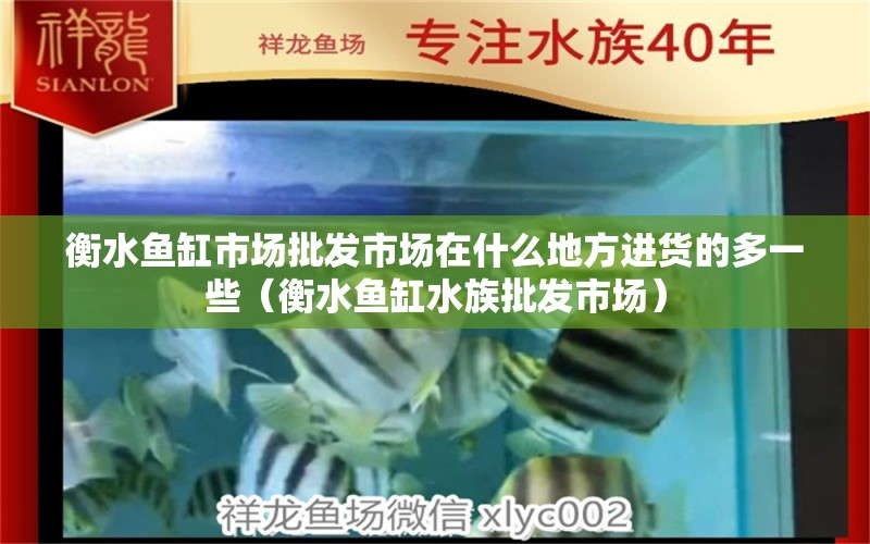 衡水魚缸市場批發(fā)市場在什么地方進(jìn)貨的多一些（衡水魚缸水族批發(fā)市場） 觀賞魚水族批發(fā)市場