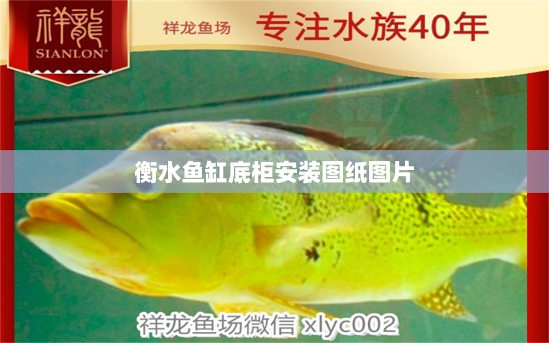 衡水魚缸底柜安裝圖紙圖片 水族問答 第1張