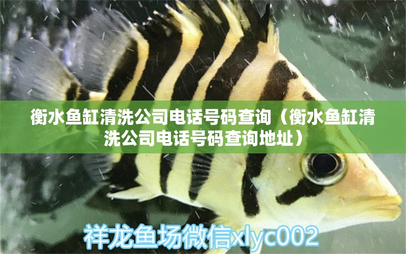 衡水魚缸清洗公司電話號碼查詢（衡水魚缸清洗公司電話號碼查詢地址） 祥龍水族醫(yī)院