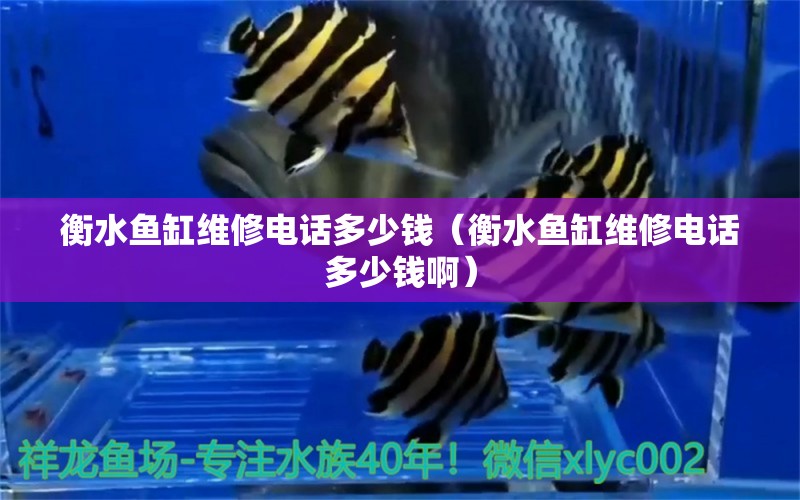 衡水魚缸維修電話多少錢（衡水魚缸維修電話多少錢?。?祥龍水族醫(yī)院