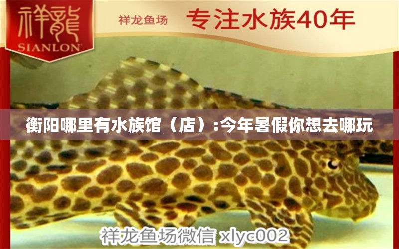 衡陽哪里有水族館（店）:今年暑假你想去哪玩 觀賞魚水族批發(fā)市場