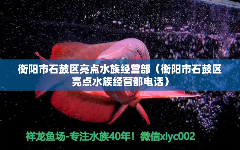 衡陽市石鼓區(qū)亮點(diǎn)水族經(jīng)營部（衡陽市石鼓區(qū)亮點(diǎn)水族經(jīng)營部電話）