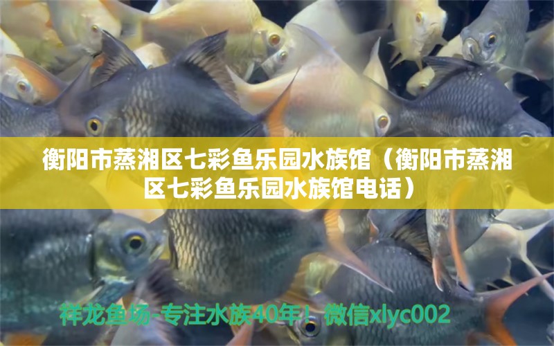 衡陽市蒸湘區(qū)七彩魚樂園水族館（衡陽市蒸湘區(qū)七彩魚樂園水族館電話）