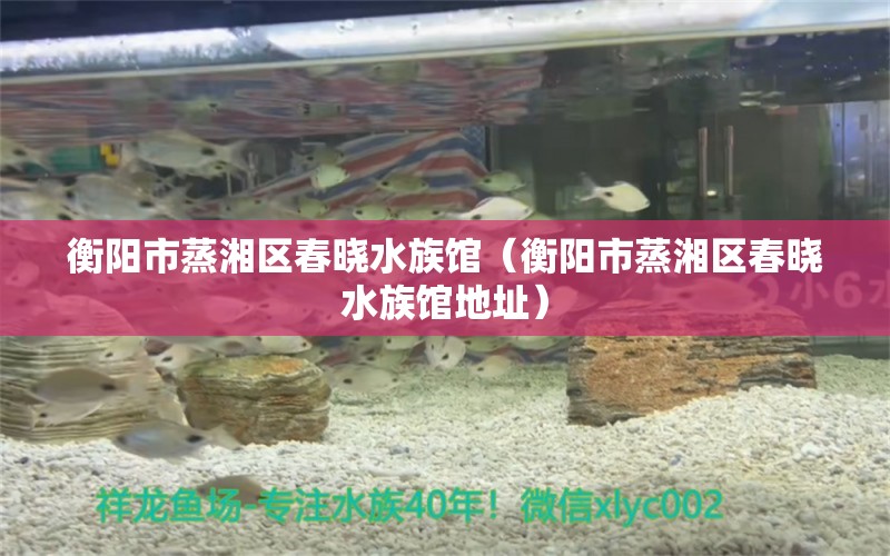 衡陽市蒸湘區(qū)春曉水族館（衡陽市蒸湘區(qū)春曉水族館地址）