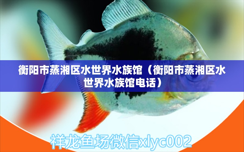 衡陽市蒸湘區(qū)水世界水族館（衡陽市蒸湘區(qū)水世界水族館電話） 全國水族館企業(yè)名錄