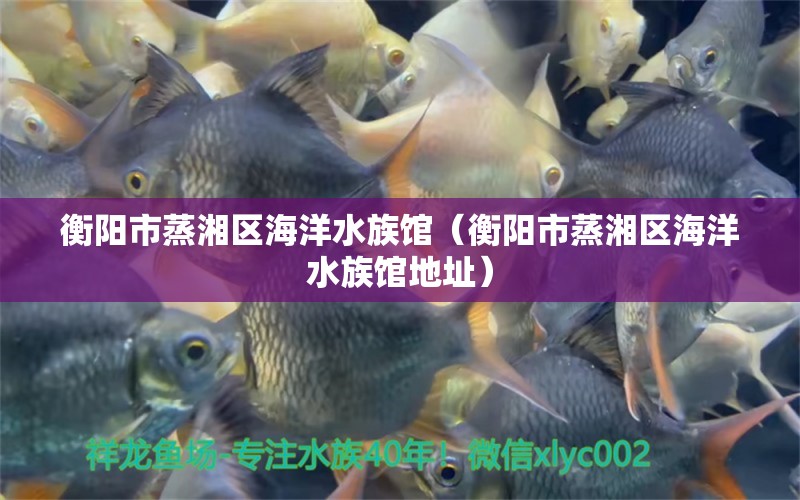 衡陽市蒸湘區(qū)海洋水族館（衡陽市蒸湘區(qū)海洋水族館地址） 全國水族館企業(yè)名錄