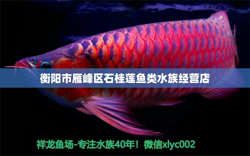 衡陽市雁峰區(qū)石桂蓮魚類水族經(jīng)營店 全國水族館企業(yè)名錄