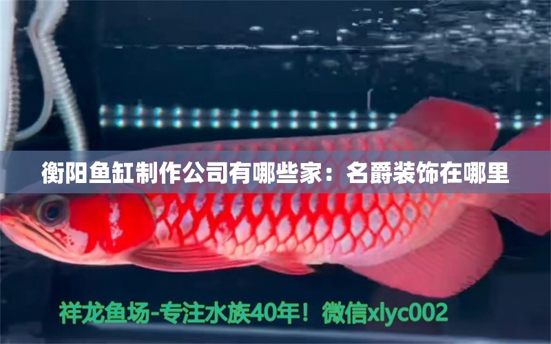 衡陽魚缸制作公司有哪些家：名爵裝飾在哪里