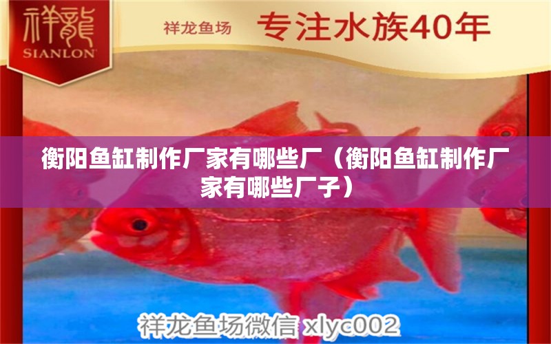 衡陽魚缸制作廠家有哪些廠（衡陽魚缸制作廠家有哪些廠子） 祥龍魚場