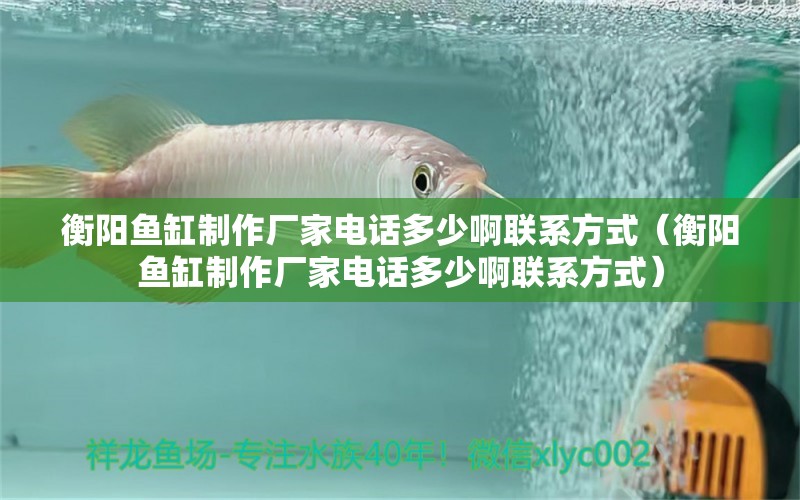 衡陽魚缸制作廠家電話多少啊聯(lián)系方式（衡陽魚缸制作廠家電話多少啊聯(lián)系方式）